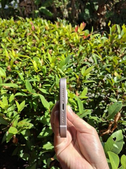 IPhone  13 128GB Pink รูปที่ 6