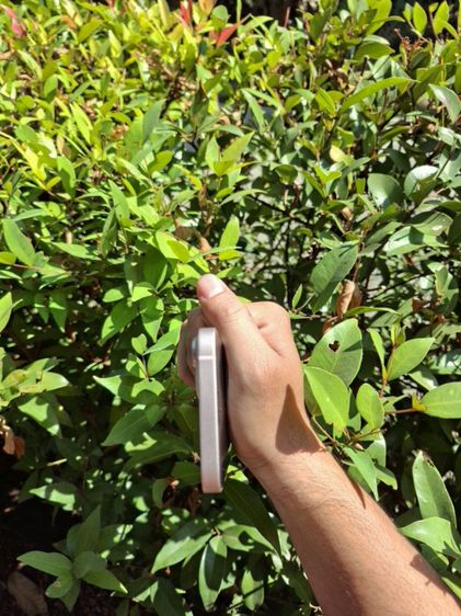 IPhone  13 128GB Pink