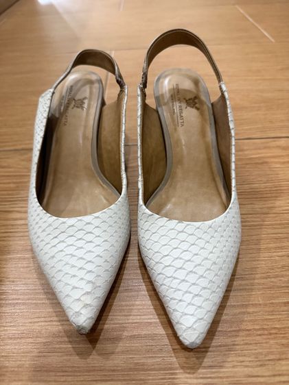 รองเท้า Royal ivy regatta