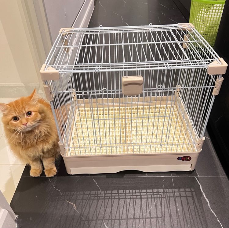 กรงสัตว์เลี้ยง