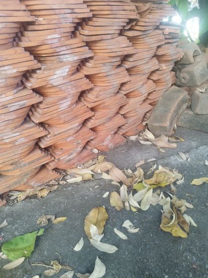 กระเบื้องดินเผาสุโขทัย รูปที่ 5