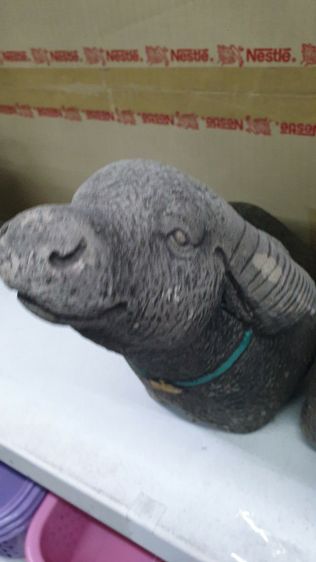 🐃 หลุดจอง ชุดครอบครัวควายมงคล 3 ตัว พ่อแม่ลูก สภาพดี พร้อมแต่งสวน รูปที่ 6