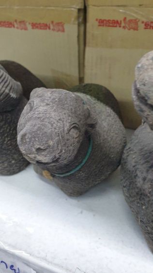 🐃 หลุดจอง ชุดครอบครัวควายมงคล 3 ตัว พ่อแม่ลูก สภาพดี พร้อมแต่งสวน รูปที่ 4