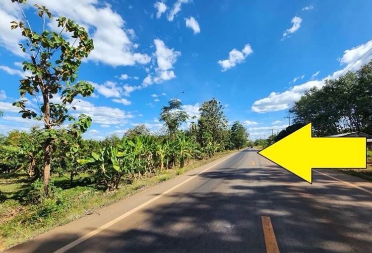 ไม่ใช่ ขายที่ดิน 62 ไร่ สวนปาร์มและทุเรียน กาญจนบุรี รูปที่ 2