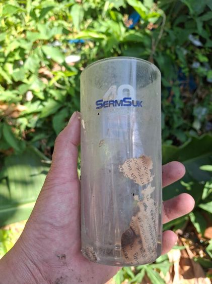 แก้ว40ปีpepsi รูปที่ 2