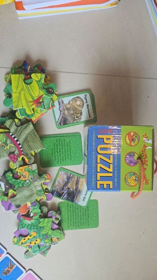 Toy รูปที่ 4