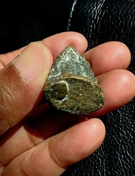 รูปหล่อเก่า ๆ พระพุทธชินราช ฐานมีรอยเดือน รูปที่ 8