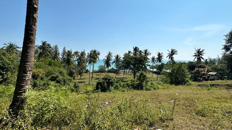 ขายที่ดินบางสะพานติหาด