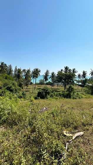 ขายที่ดินบางสะพานติหาด รูปที่ 2