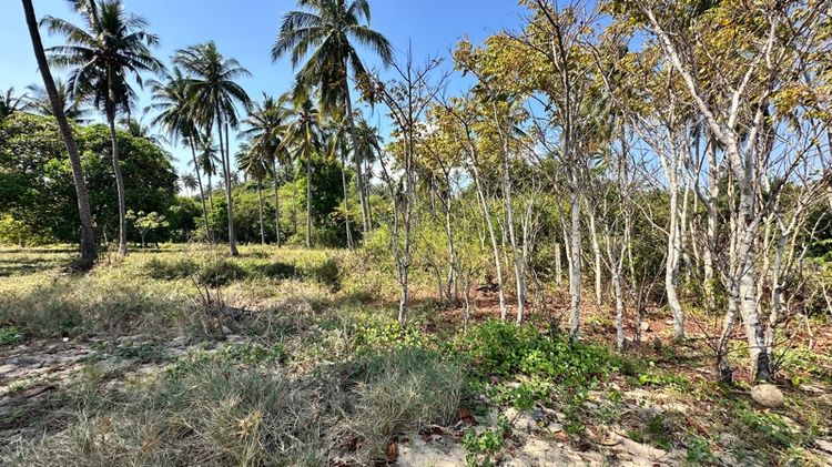 ขายที่ดินบางสะพานติหาด รูปที่ 3