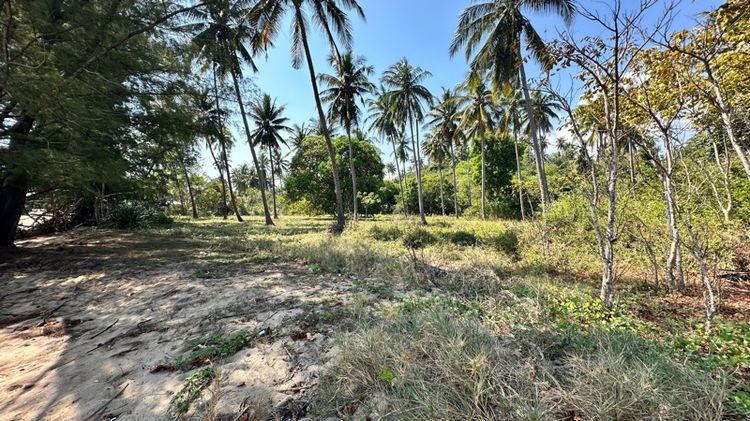 ขายที่ดินบางสะพานติหาด รูปที่ 4