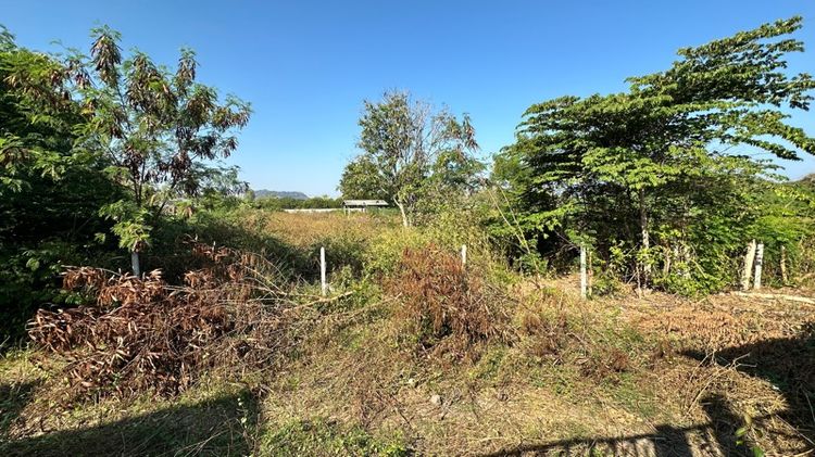 ขายที่ดิน ซอยหัวหิน 102 รูปที่ 3