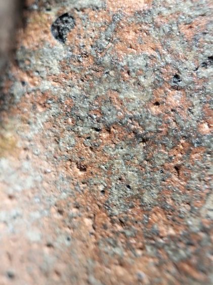 ❌ติดจอง❌พระกำแพงซุ้มกอเนื้อในเขียวครับ รูปที่ 12