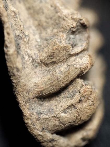 ❌ติดจอง❌พระรอดลำพูนพิมพ์ใหญ่ครับไม่ได้ล้างครับ รูปที่ 13