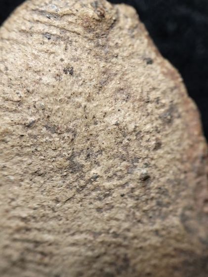 ❌ติดจอง❌พระรอดลำพูนพิมพ์ใหญ่ครับไม่ได้ล้างครับ รูปที่ 14