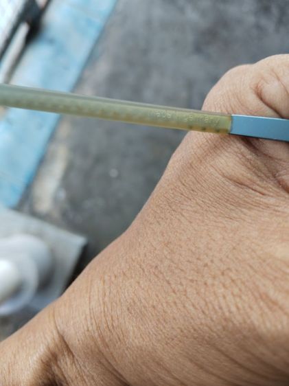 แว่นตากันแดด ic berlin แท้  รูปที่ 7