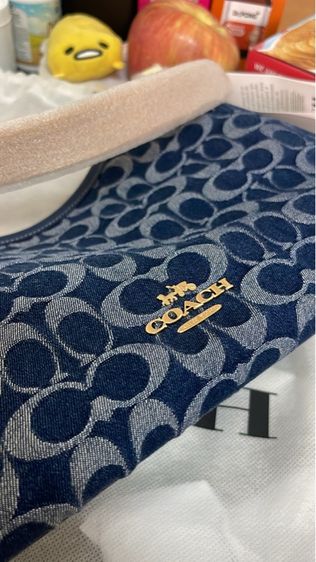 Coach Teri Hobo Denim รูปที่ 5