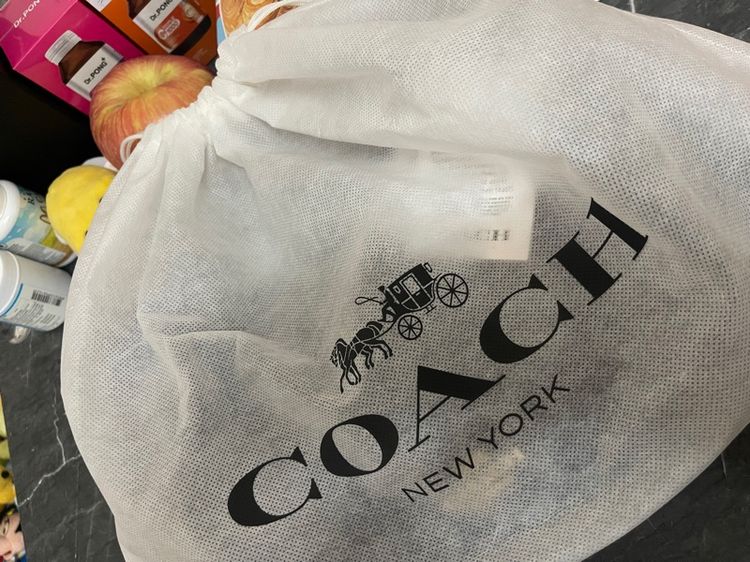 Coach Teri Hobo Denim รูปที่ 2