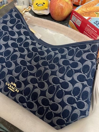 Coach Teri Hobo Denim