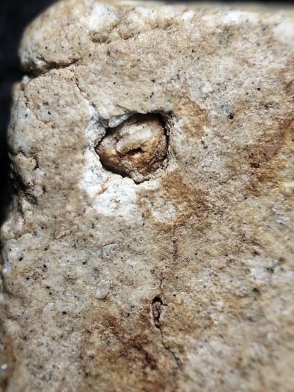 พระสมเด็จครับ รูปที่ 13