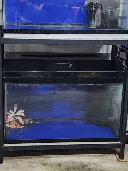 ตู้ปลา 36นิ้วสูง 24 นิ้ว กรองมุม  รูปที่ 3