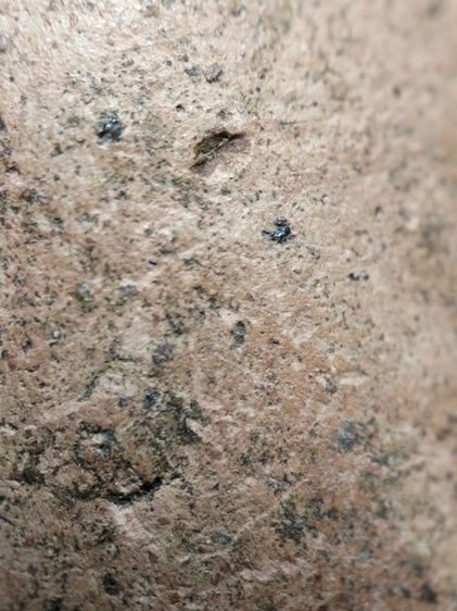 พระบางลำพูนครับ รูปที่ 12