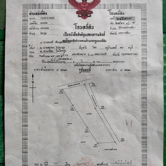 ขายที่ดินเปล่าบึงทับช้าง โคกสูง มีโฉนดพร้อมโอนราคาพูดคุยได้
