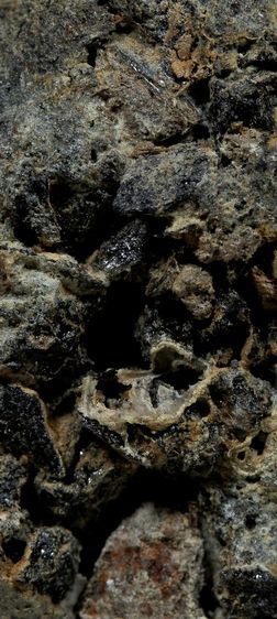 หลวงปู่ทวดเนื้อว่าน 2497 รูปที่ 2