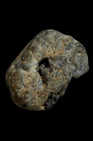 หลวงปู่ทวดเนื้อว่าน 2497 รูปที่ 9