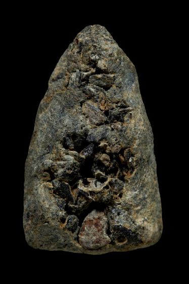 หลวงปู่ทวดเนื้อว่าน 2497 รูปที่ 6