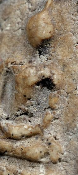 สมเด็จวัดระฆัง รูปที่ 4