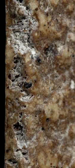 สมเด็จวัดระฆัง รูปที่ 2