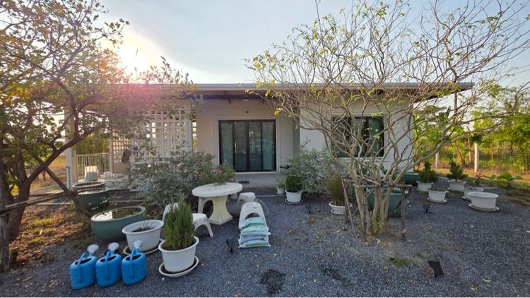 ขายบ้านสวน 