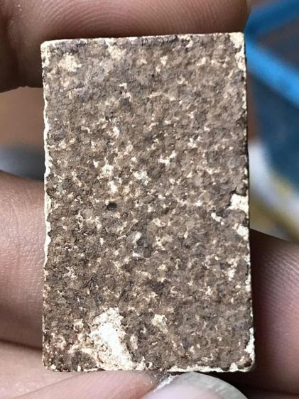 อกครุฑ รูปที่ 3