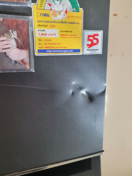 Refrigerator Toshiba GR-RT325WE รูปที่ 6