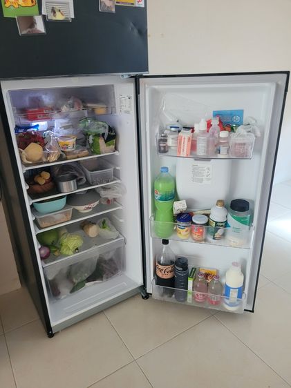 Refrigerator Toshiba GR-RT325WE รูปที่ 4