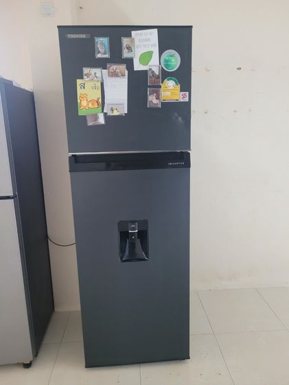Refrigerator Toshiba GR-RT325WE