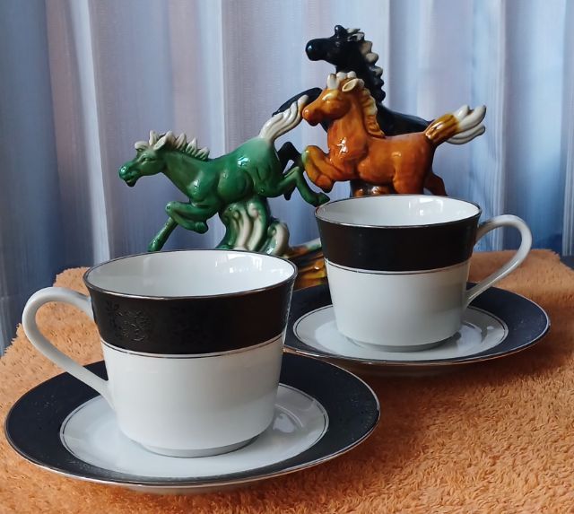 🌷 ชุดกาแฟ NORITAKE MIRANO 6878
