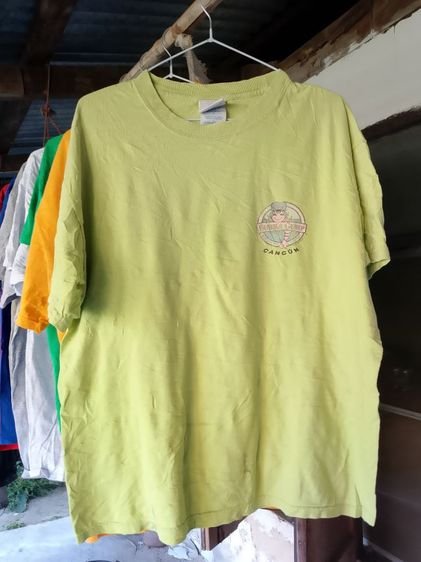 เสื้อยืดมือสอง สภาพดี คัดเกรด size L รูปที่ 3