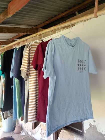 เสื้อยืดมือสองสภาพดีคัดเกรด size m รูปที่ 3