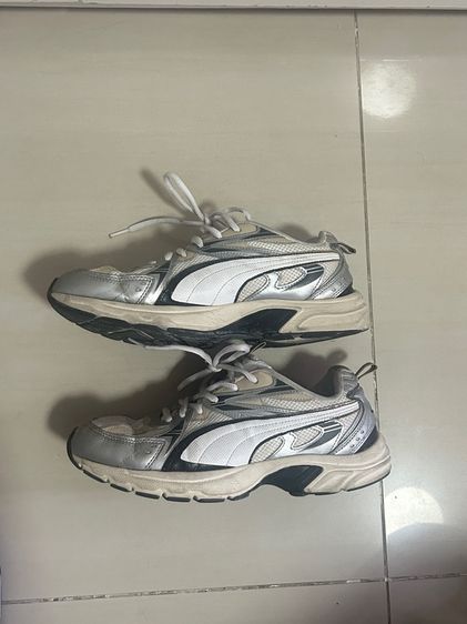 Puma milenio 9us