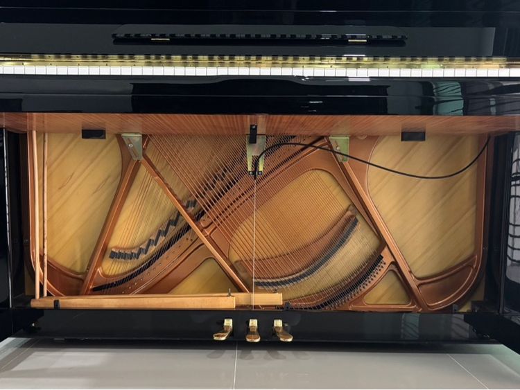 อัพไรท์เปียโน HARRODSER H-1 upright piano อัพไรท์เปียโน upright piano upright piano อัพไรท์เปียโน อัพไรท์เปียโน upright piano รูปที่ 6