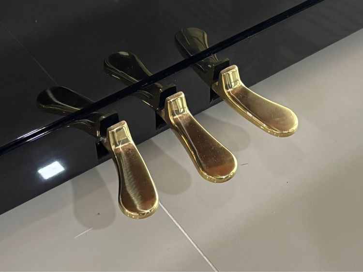 อัพไรท์เปียโน HARRODSER H-1 upright piano อัพไรท์เปียโน upright piano upright piano อัพไรท์เปียโน อัพไรท์เปียโน upright piano รูปที่ 7