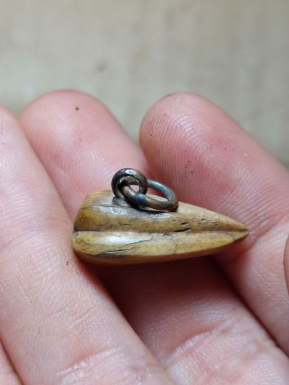 เครื่องรางมะเฟือง หลวงพ่อพักวัดโบสถ์อ่างทองเก่า รูปที่ 7