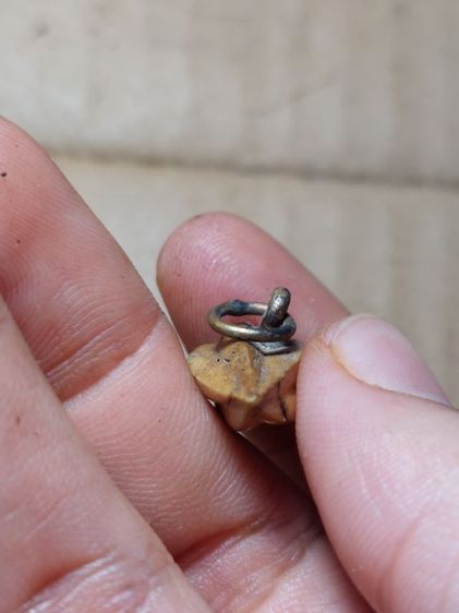 เครื่องรางมะเฟือง หลวงพ่อพักวัดโบสถ์อ่างทองเก่า รูปที่ 6