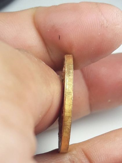 t เหรียญปีนักษัตร รูปที่ 3