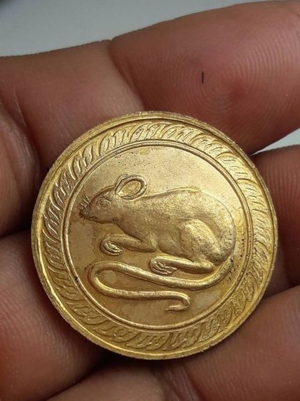 t เหรียญปีนักษัตร