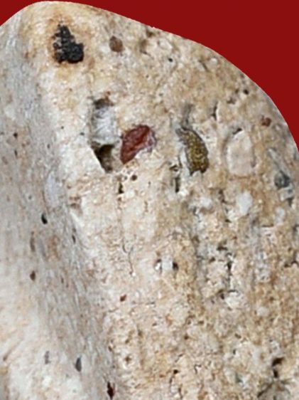 สวยแชมป์ ให้เช่าบูชา พระชุดเบญจภาคี พระสมเด็จ วัดระฆัง พิมพ์ใหญ่ เกศทะลุซุ้ม มีมวลสาร เก่า รูปที่ 13