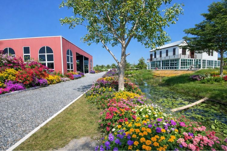 อื่นๆ ตกแต่งครบ 2024 ขาย บ้านสวนคาเฟ่ ติดกรุงเทพ โกดัง สไตล์ยุโรป บนอาณาจักร 4 ไร่ นครปฐมบางเลน ห่างจาก ดอนเมือง 30 กิโล โดยประมาณ( เจ้าของขายเอง ) รูปที่ 3