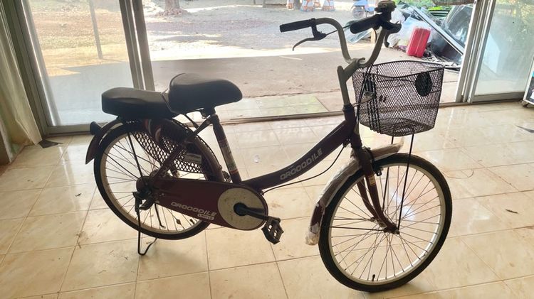 จักรยาน รูปที่ 11